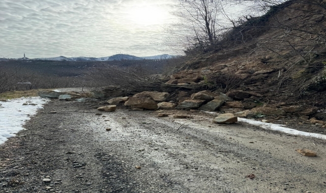 Ordu'da eriyen kar heyelanlara neden oldu