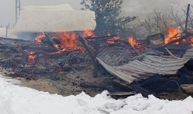 Ordu'da ahşap ev küle döndü, ev sakinleri son anda kurtuldu