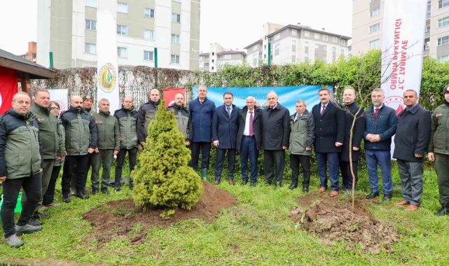 Ordu'da fidanlar toprakla buluşturuldu