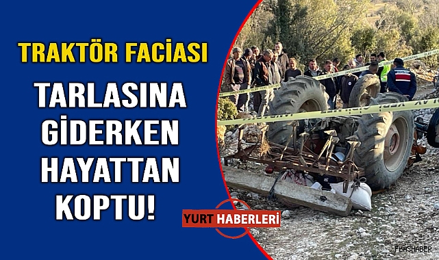 Orman yolunda feci son