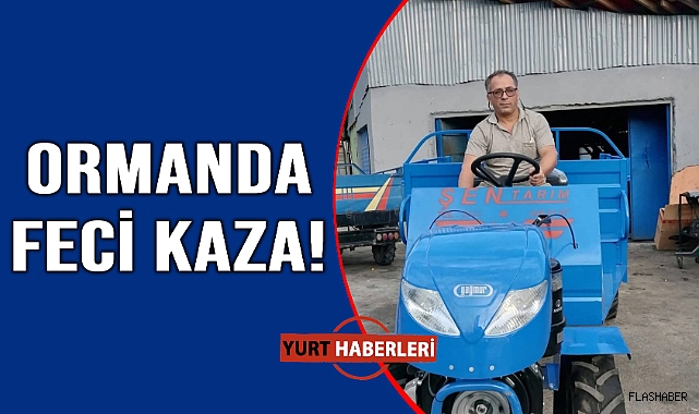 Ormanda iş kazası geçiren işçi yaşamını yitirdi