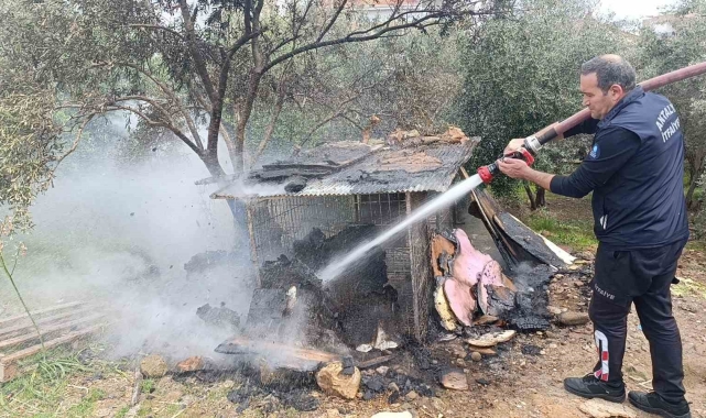 Ormanlık arazide yanan tavuk kümesi ekipleri alarma geçirdi