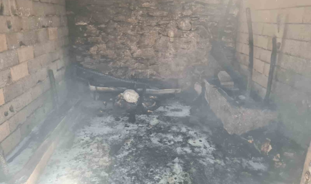 Osmaniye'de ahırdaki yangında 16 küçükbaş hayvan telef oldu