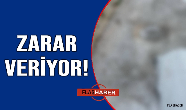 Otomobil sürücüleri çözüm bekliyor