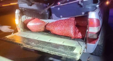 Park halindeki kamyonette 600 kilo kaçak kum midyesi ele geçirildi