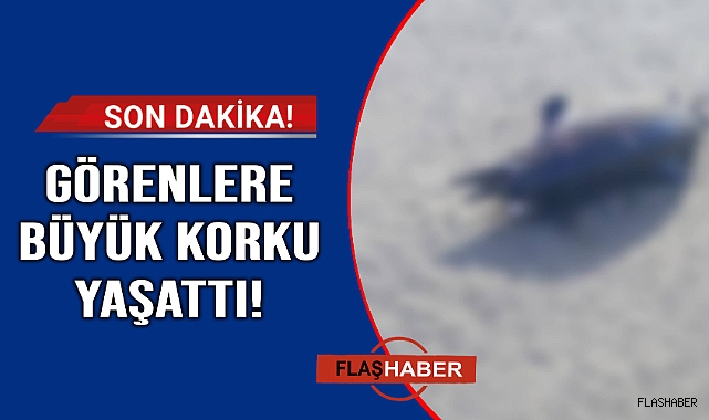 Peş peşe geliyorlar