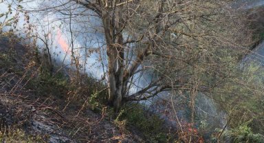 Rize'de anız yangını