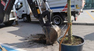 Sakarya'ya estetik dokunuş