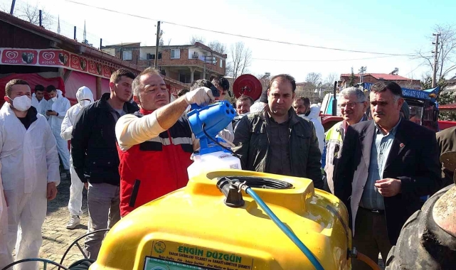 Samsun'da kahverengi kokarca ile mücadele: Biyosidal ilaçlı önlem
