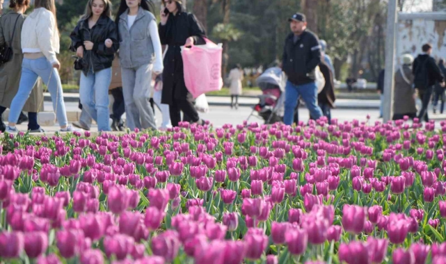 Samsun'da lale zamanı