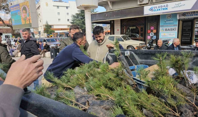 Sındırgı'da Ormancılık haftası için fidan dağıtıldı