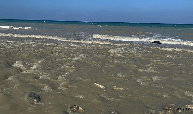 Sinop'ta eriyen kar suları denizin rengini değiştirdi