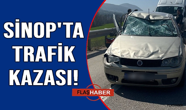 Sinop'ta kontrolden çıkan araç kaza yaptı