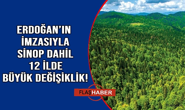Sinop'ta o alanlar orman sınırları dışına çıkarıldı