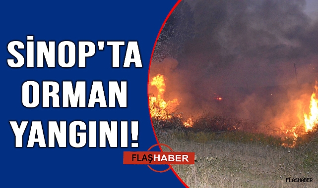Sinop'ta ormanlık alanda çıkan yangın korkuttu