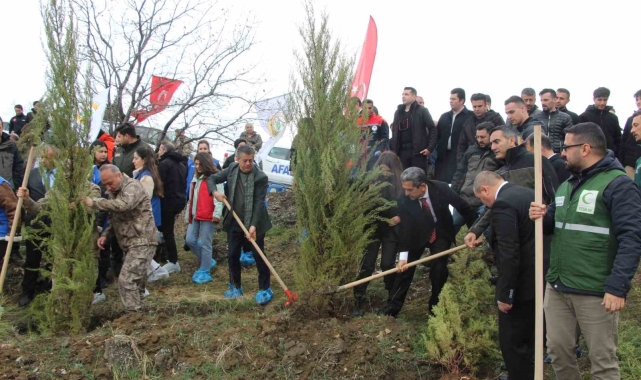 Şırnak'ta Dünya Ormancılık Günü kapsamında fidan dikimi yapıldı