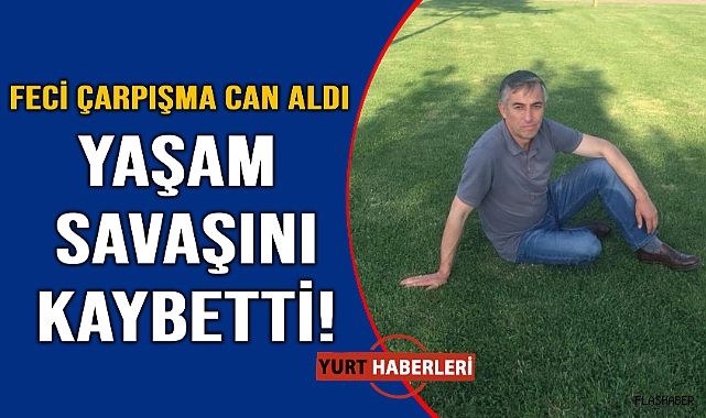 Sokak köpeklerinin takibi faciayla sonuçlandı