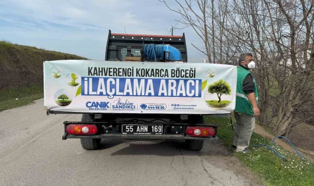 Tarımın düşmanı kokarcayla ilaçlı müdahale