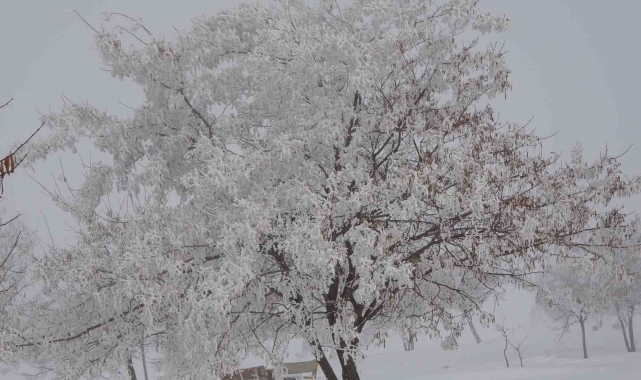 Tatvan-Güroymak yolunda yoğun sis