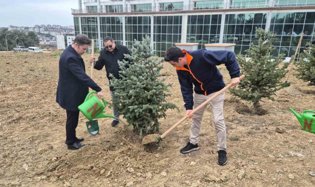 Tekirdağ'da yeşil gelecek atağı: 300 bin fidan