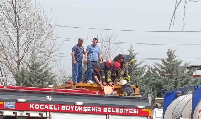 Temizlik yaparken kimyasal tankerinin içine düştü, ağır yaralandı