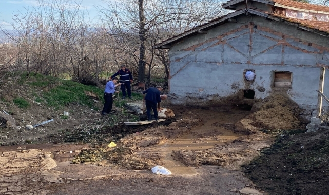 Tokat'ta gübreliğe düşen boğayı itfaiye kurtardı
