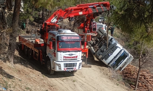 Tomruk yüklü kamyon devrildi sürücü yaralandı