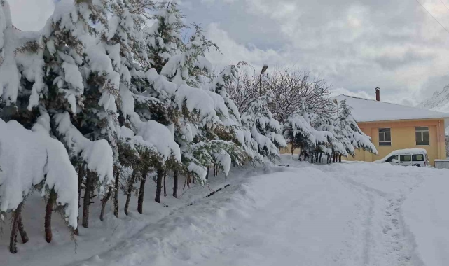 Tunceli'de kar yağışı hayatı olumsuz etkiliyor