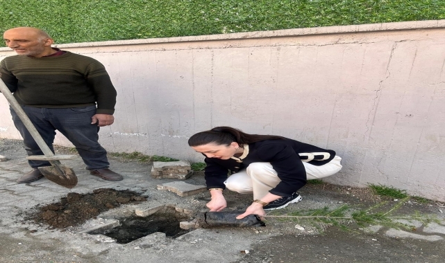 Turhal&#039;da ortaokul bahçesine 14 çam fidanı dikildi