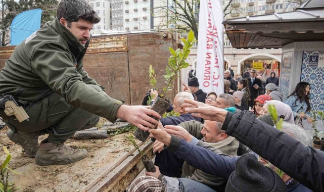 Ücretsiz fidana büyük ilgi