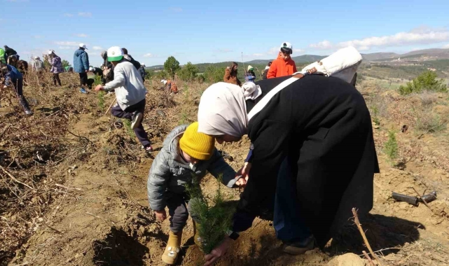 Uşak'ta 3 bin 200 adet fidan toprakla buluştu