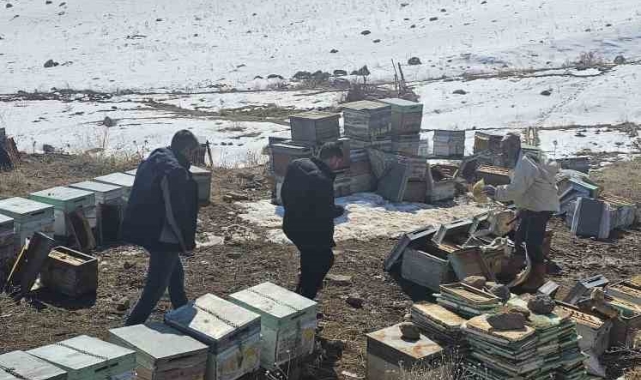 Van'da 100 kovan arı telef oldu