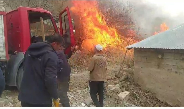 Van'da anız yangını korkuttu
