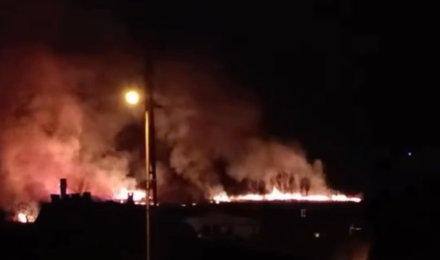 Van'da sazlık alanda yangın