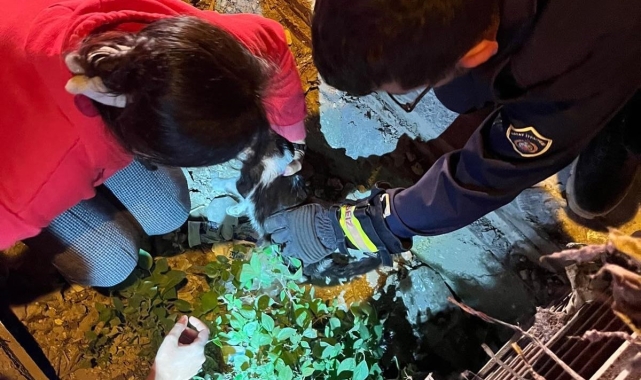 Yağmur suyu mazgalına sıkışan kediyi itfaiye kurtardı