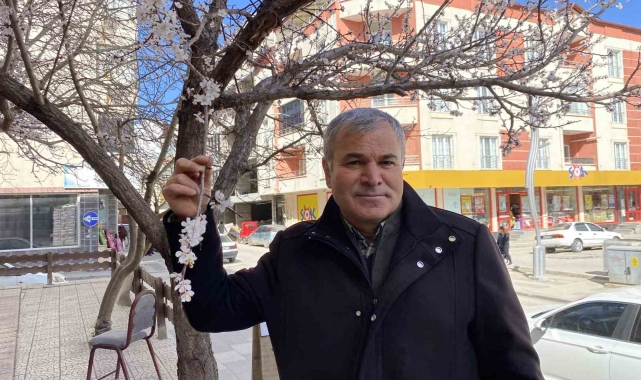 Yalancı bahar kayısı ağaçlarını erkenden çiçek açtırdı