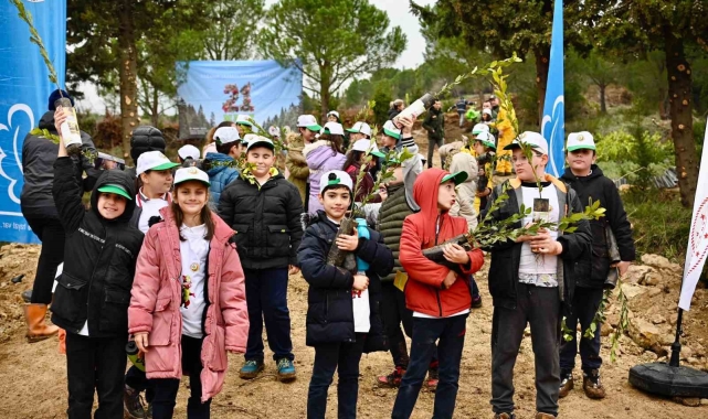 Yalova'da yanan 25 dönümlük orman alanı ağaçlandırıldı