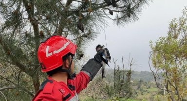 Yaralı Alabak Kuşu'nu itfaiye ekipleri kurtardı