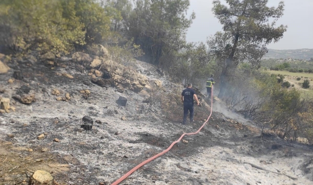 Yayladağı'nda ormanlık alanda yangın