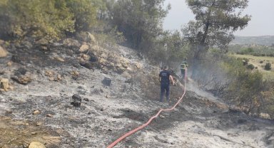 Yayladağı'nda ormanlık alanda yangın