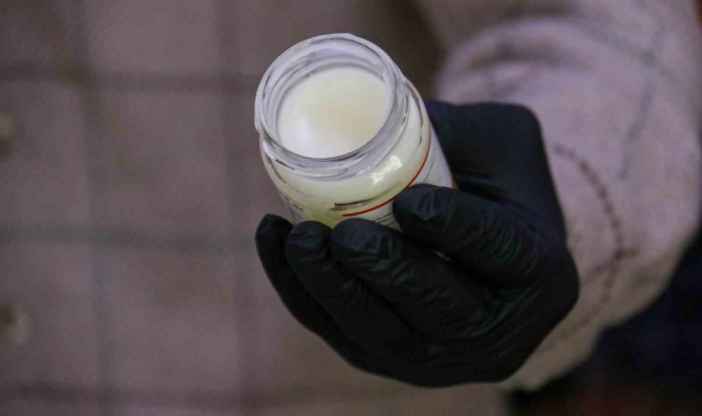 Yemeklere lezzet katan kuyruk yağı, romatizması olan hastalara da şifa oluyor