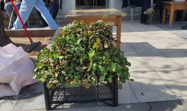 Yılın ilk kuzu ulağı tezgahlardaki yerini aldı