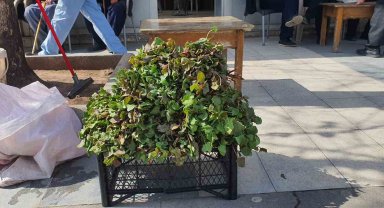 Yılın ilk kuzu ulağı tezgahlardaki yerini aldı