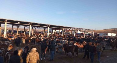 Yozgat'ta geçici olarak kapatılan hayvan pazarları yeniden açıldı