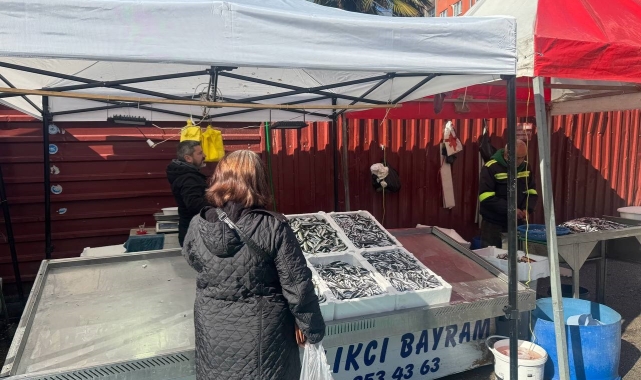 Zonguldak'ta tezgahlarda mezgit bolluğu