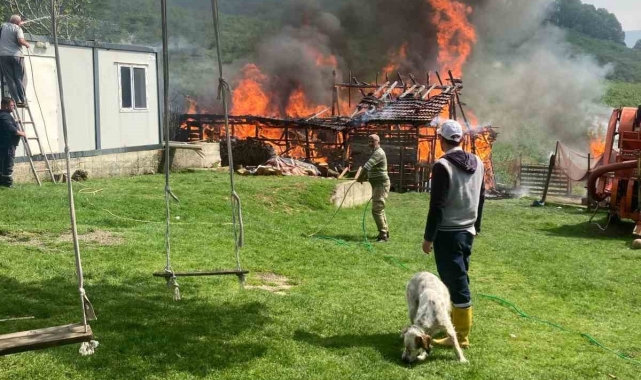 Akçakoca'da samanlık yanarak küle döndü