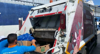 Alanya'da 85 kilo kokmuş balık imha edildi