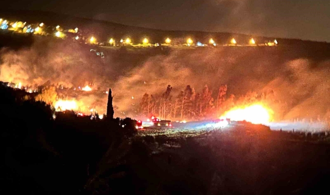 Arsuz'da çıkan orman yangını kontrol altına alındı