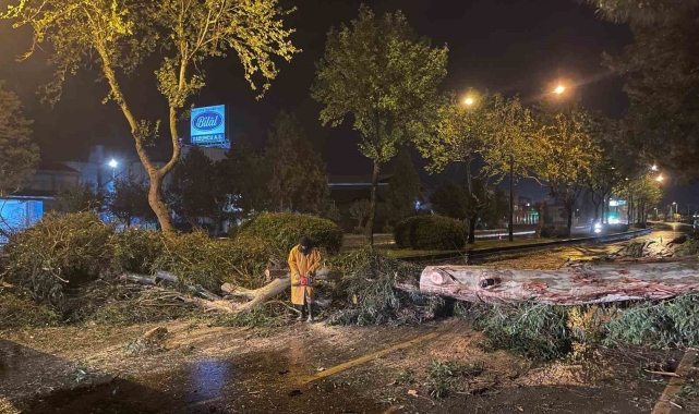 Aydın Büyükşehir Belediyesi'nden şiddetli yağış ve fırtınaya karşı hızlı müdahale