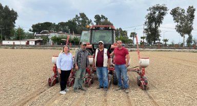 Aydın'da beyaz altın toprakla buluştu: Pamuk ekimleri başladı